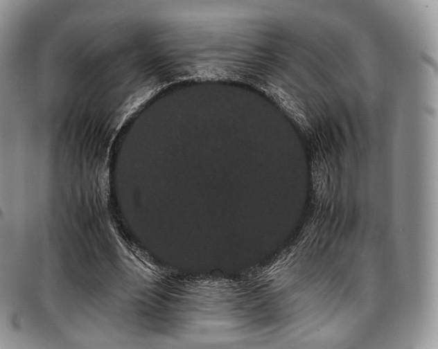 X0000097640488200802291408