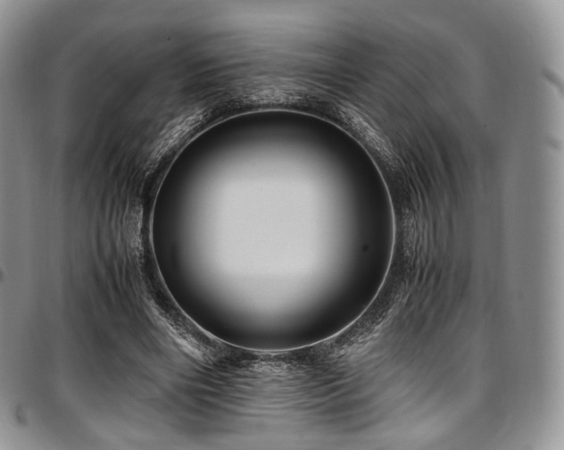 X0000097640490200802291408