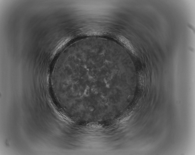 X0000097640491200802291408