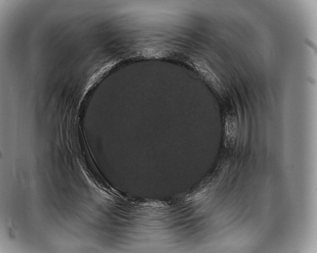 X0000097640492200802291408