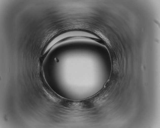 X0000097640493200802291408