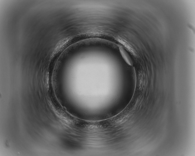 X0000097640494200802291408