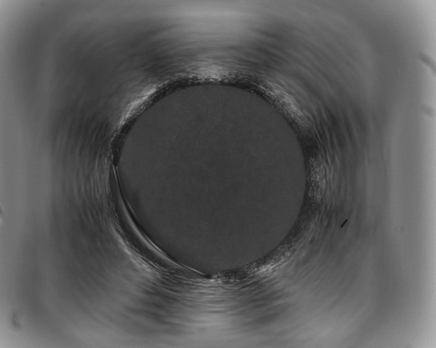 X0000097640496200802291408
