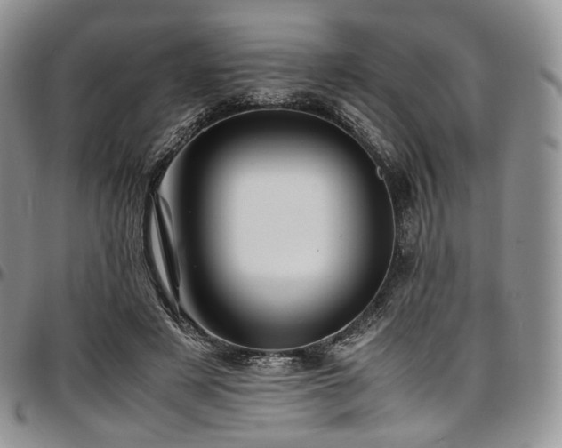 X0000097640497200802291408