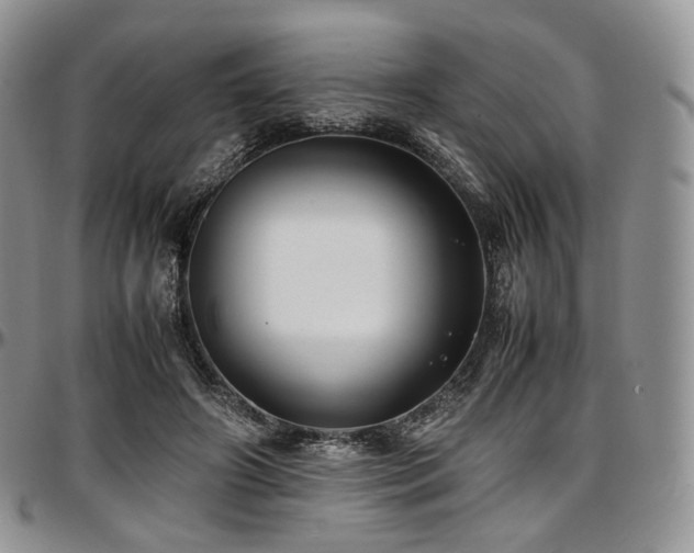 X0000097640498200802291408