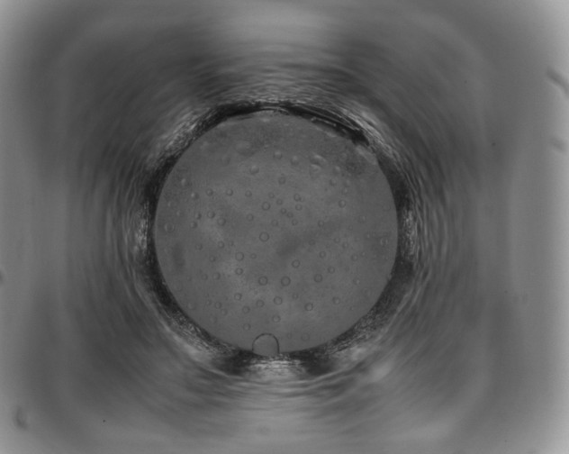 X0000097640499200802291408