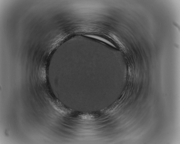 X0000097640500200802291408