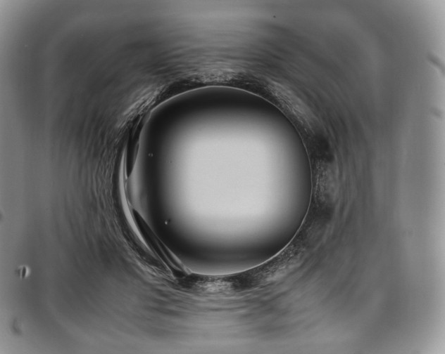X0000097640501200802291408