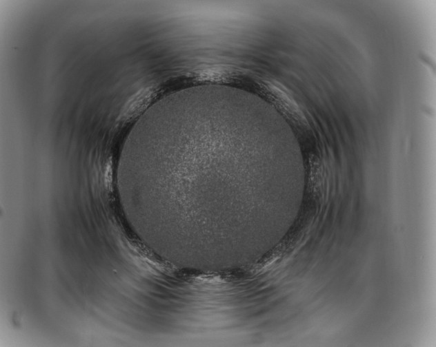 X0000097640502200802291408