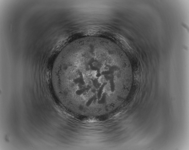 X0000097640503200802291408