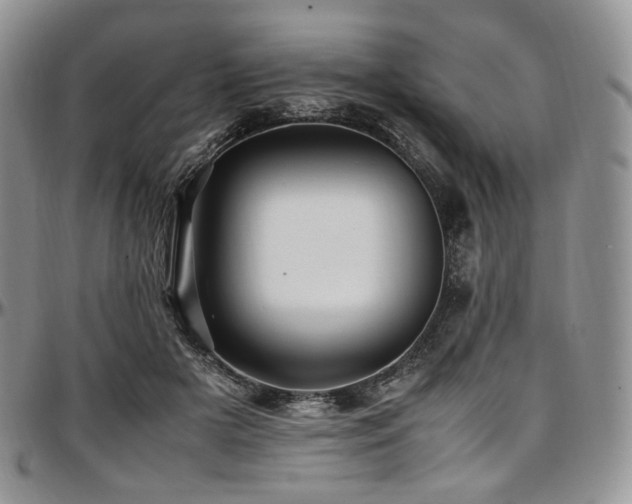 X0000097640505200802291408