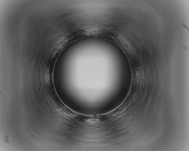 X0000097640508200802291408