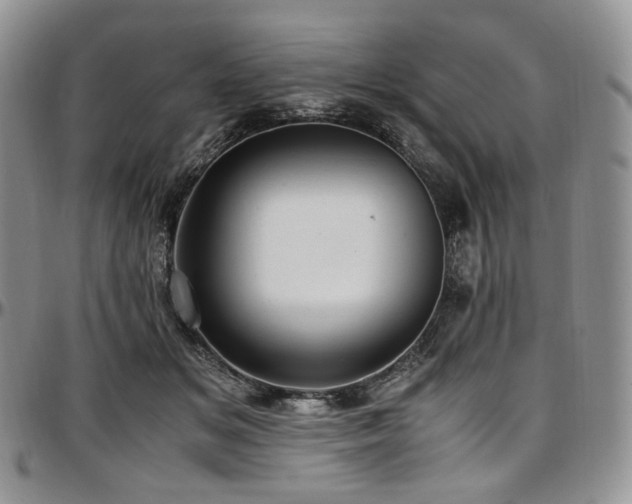 X0000097640509200802291408