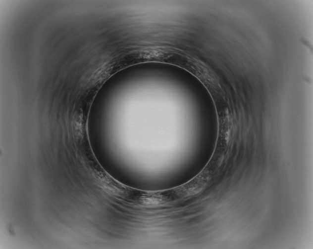 X0000097640510200802291408