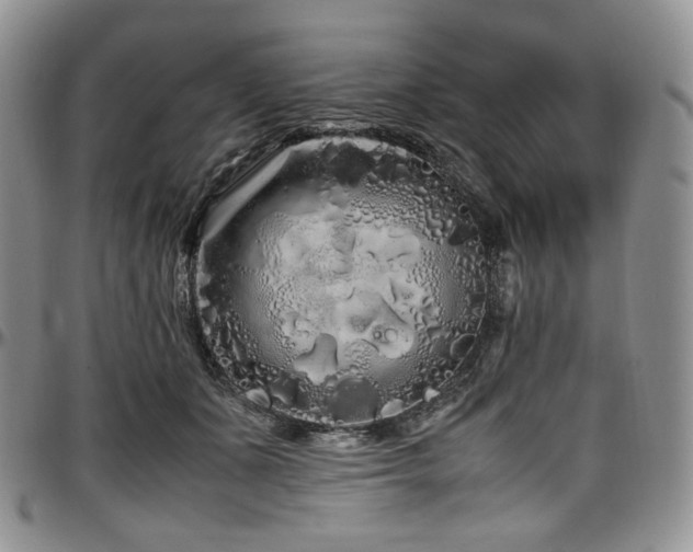 X0000097640511200802291408