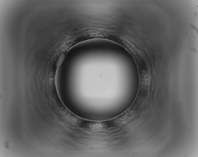 X0000097640513200802291408