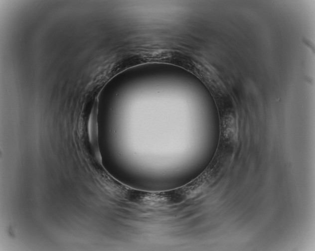 X0000097640515200802291408