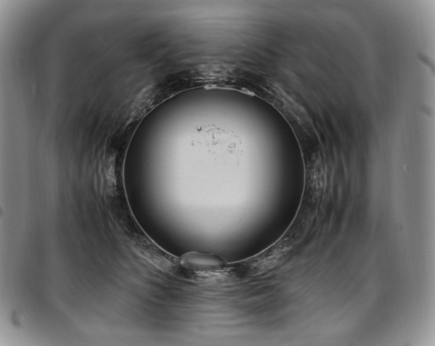 X0000097640516200802291408