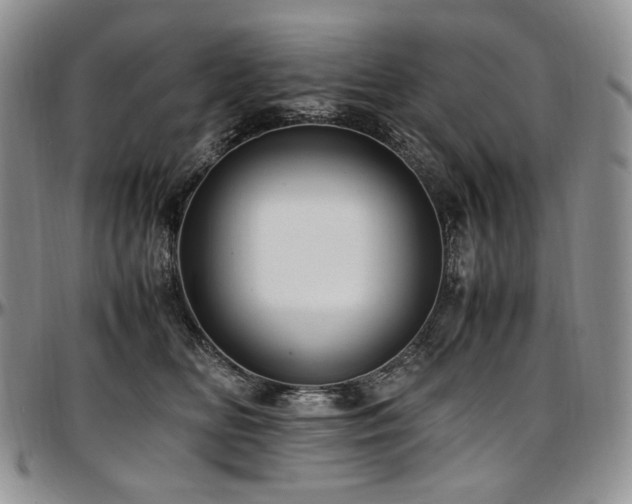 X0000097640518200802291408