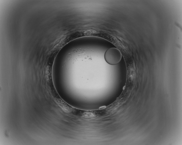 X0000097640519200802291408