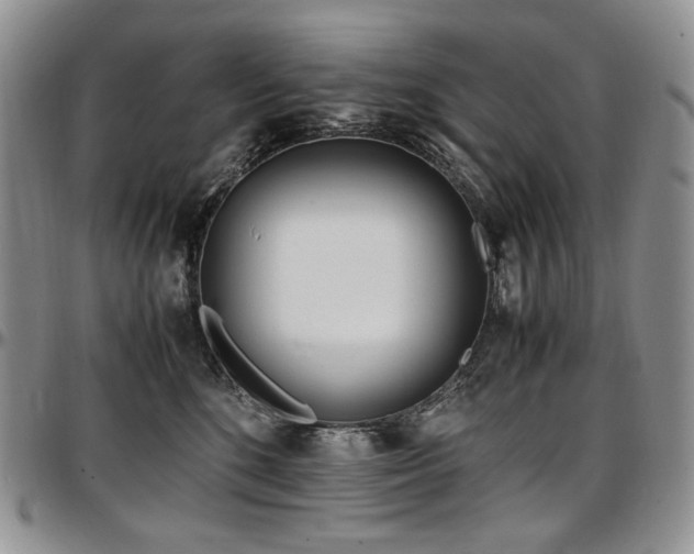 X0000097640520200802291408
