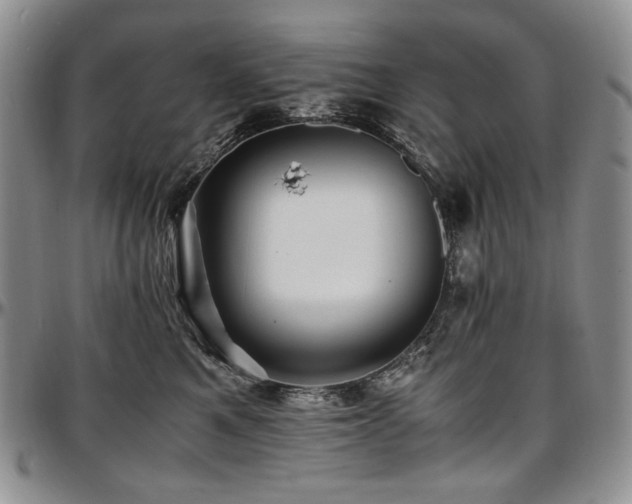 X0000097640521200802291408