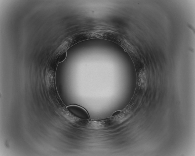 X0000097640522200802291408