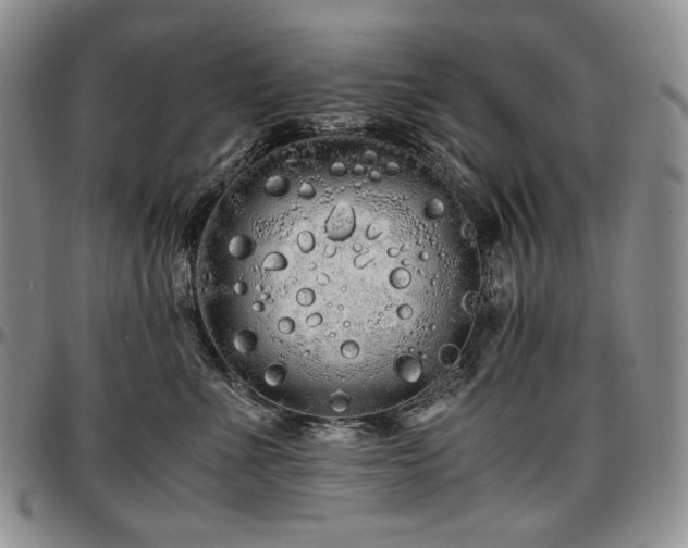 X0000097640523200802291408