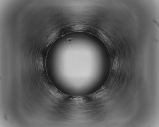 X0000097640524200802291408