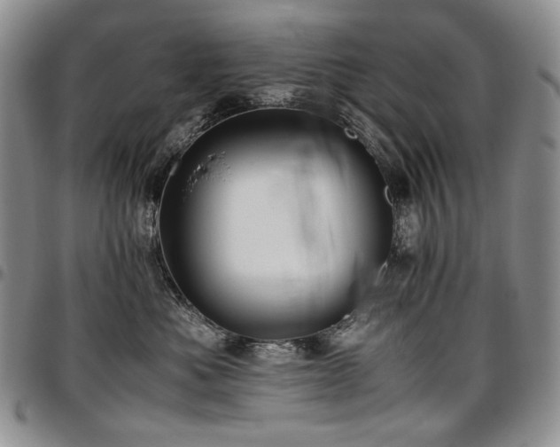 X0000097640525200802291408