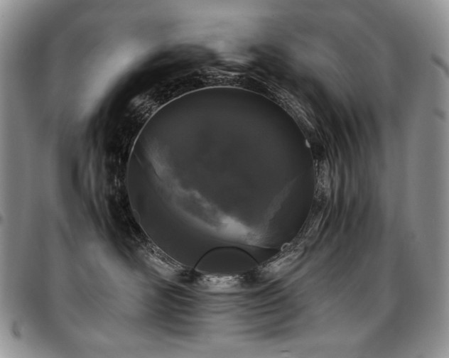 X0000097640526200802291408