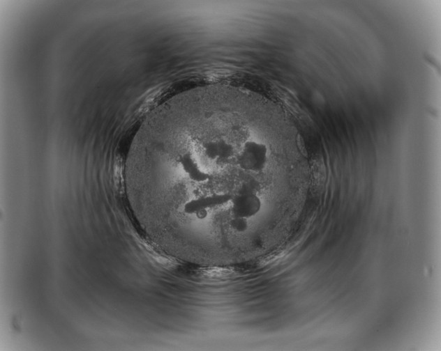 X0000097640527200802291408