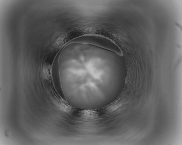 X0000097640528200802291408