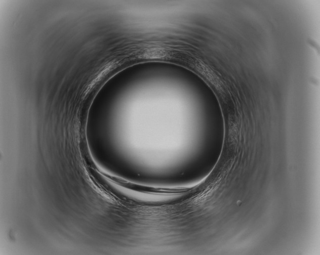 X0000097640530200802291407