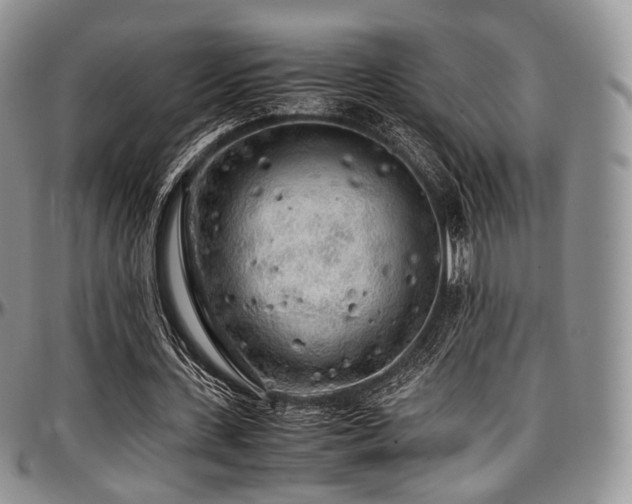 X0000097640531200802291407