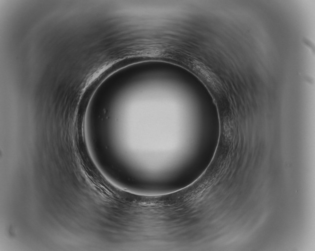 X0000097640532200802291407