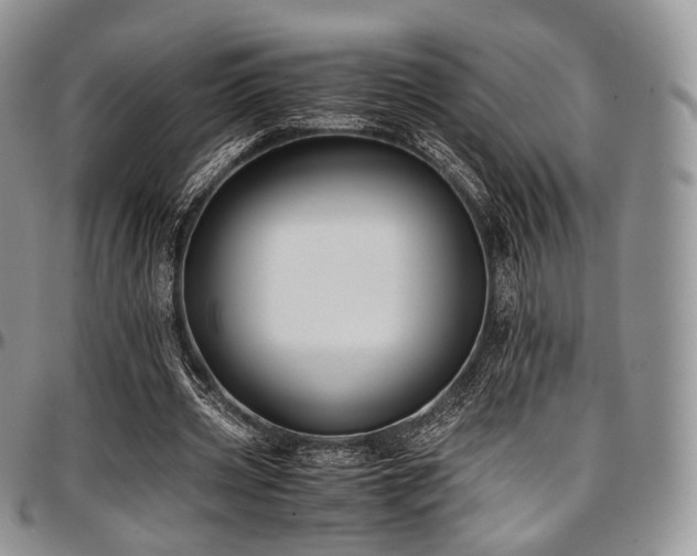 X0000097640533200802291407
