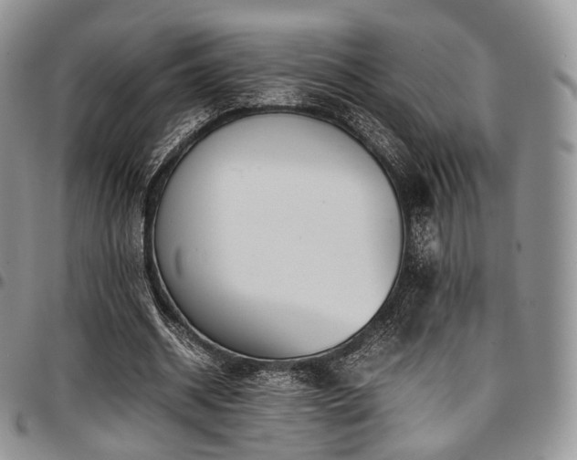 X0000097640534200802291407