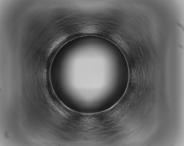 X0000097640535200802291407