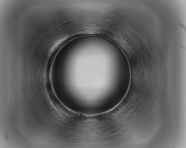 X0000097640536200802291407