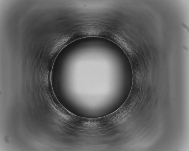 X0000097640537200802291407