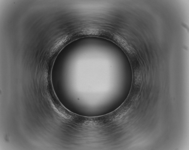 X0000097640538200802291407