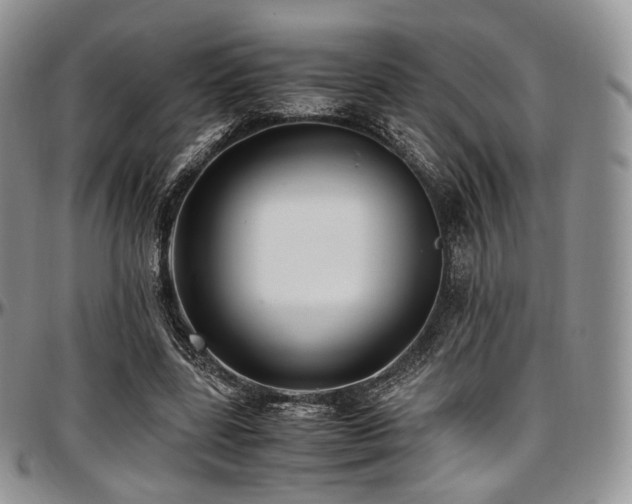 X0000097640539200802291407