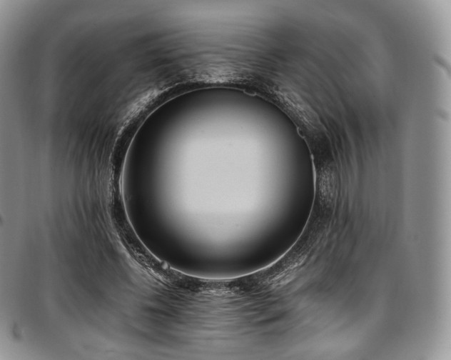 X0000097640540200802291407