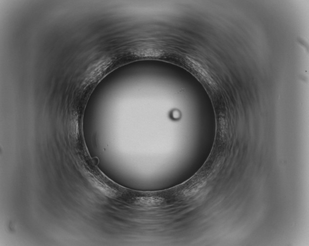X0000097640541200802291407