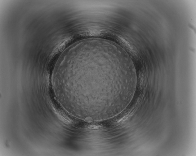 X0000097640542200802291407