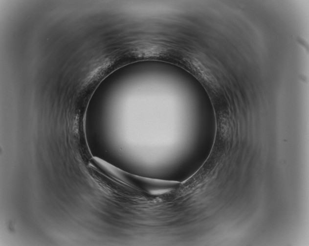 X0000097640543200802291407