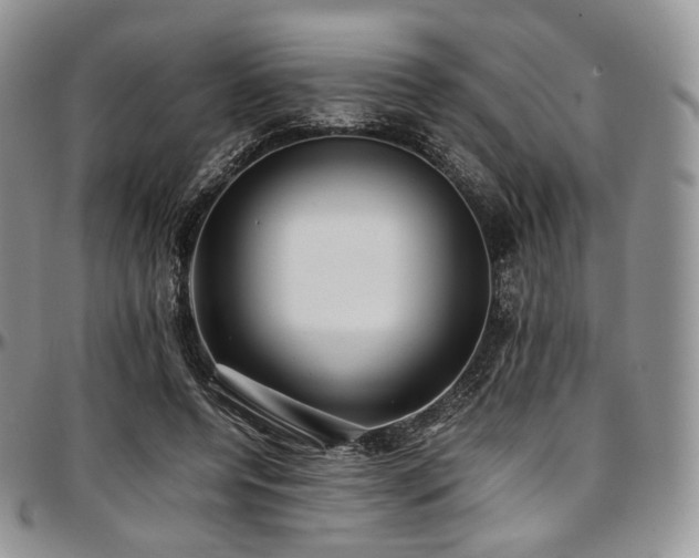 X0000097640544200802291407
