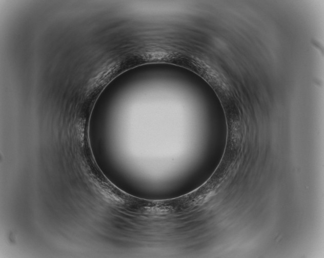 X0000097640545200802291407