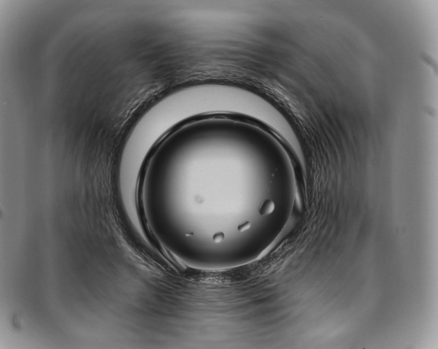 X0000097640546200802291407